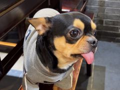 -蓝田九大碗民俗食府(蓝田店)