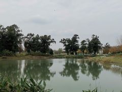 -两河城市森林公园