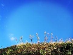 -上海长江河口科技馆