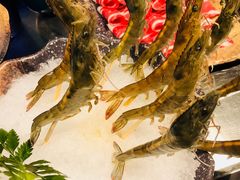 -王家渡火锅店(棕榈泉店)