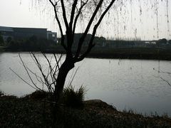 -洞天食府(北大街店)