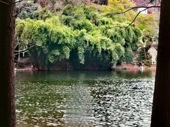 -重庆彩云湖湿地公园
