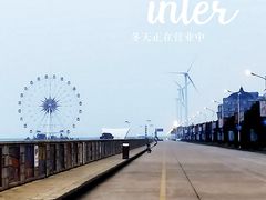 -奉贤海滩