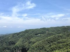 -蜀南竹海景区