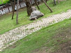 -灵玲国际马戏城