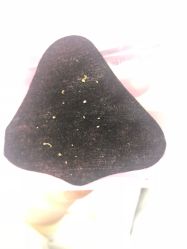 -MIDA蜜哒•科技逆龄美肤连锁