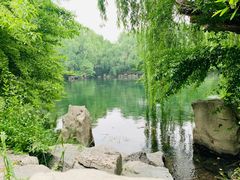 -百脉泉景区