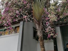 -深圳国际园林花卉博览园