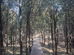 -北京十三陵国家森林公园蟒山景区