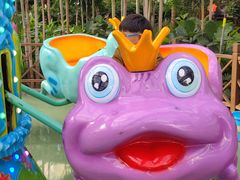 -南宫五洲植物乐园