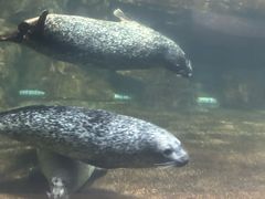 -福州罗源湾海洋世界旅游区