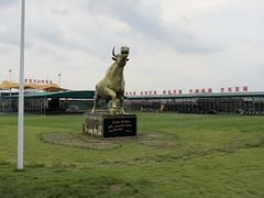 -米果果小镇