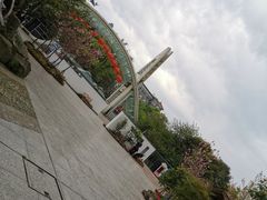 -南山植物园