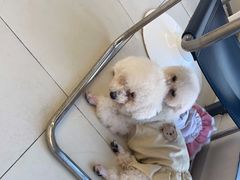 -怪兽屋·羊驼·猫咖·狗咖(俊华广场店)