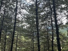 -北京密云天门山风景区