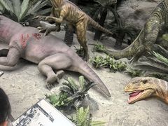 -国家自然博物馆