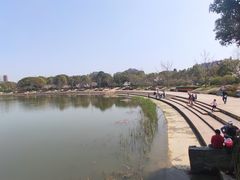 -新江湾城公园