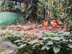 -长鹿旅游休博园