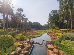 -东芭乐园