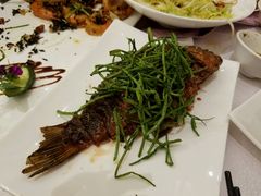 -碧丽宫大酒店(召稼楼店)