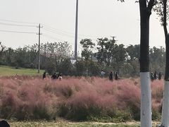 -映月湖中央公园