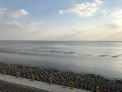 -瀛洲公园