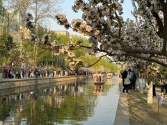 -元大都城垣遗址公园