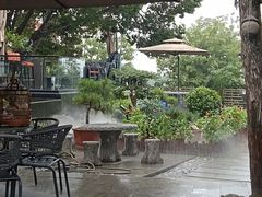 -蘇河湾·新鲁菜·泰山宴(泰山店)