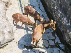 -宁波野生动物园