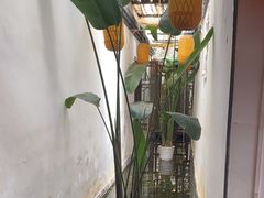 -小江南(老洋桥店)