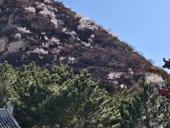 -鸡鸣山旅游风景区