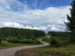 -塞罕坝国家级自然保护区