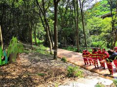 -杭州开元森泊度假乐园