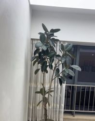 -HEYAN荷妍专业脱毛连锁机构
