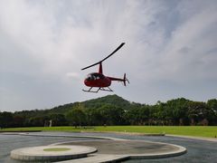 -上海月湖雕塑公园