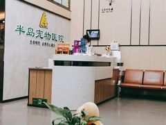 -半岛宠物医院24小时(科华中路店)