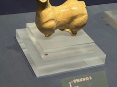 -温州博物馆