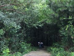 -武陵山森林公园