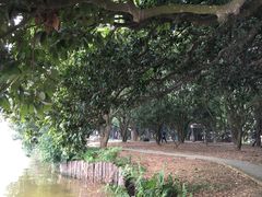 -鹤之洲湿地公园