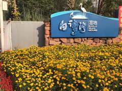 -白鹭湾湿地公园