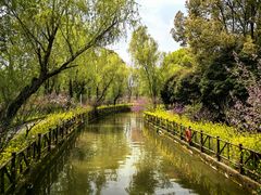 -南汇桃花村