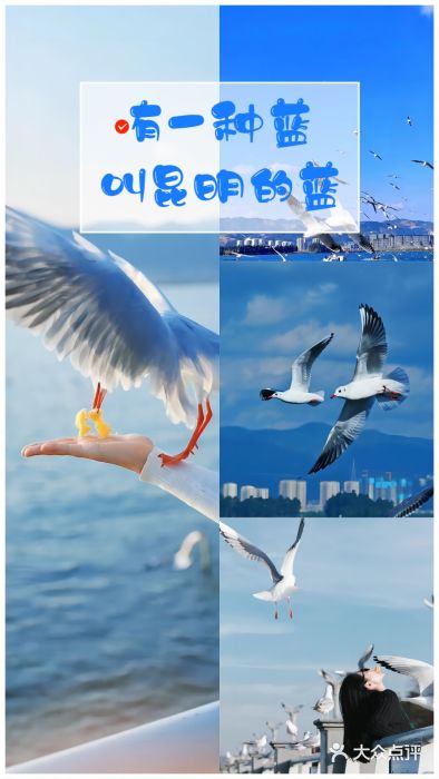 海埂大坝图片