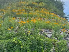 -长白山万达锦华套房酒店