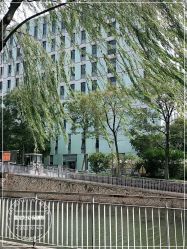 -上海市嘉定区妇幼保健院