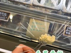 香菜雪糕-歎雪糕低糖低脂Gelato冰淇淋