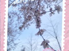 -丁香湖公园