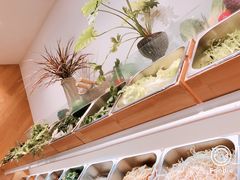 -许小树(国贸商城店)