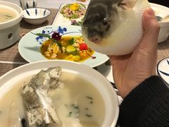 -肆月河豚·新淮扬(金融街店)