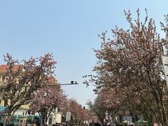 -天津五大道文化旅游区