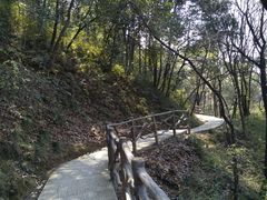 -兰溪地下长河